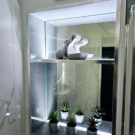 The Oasis - Retro Modern Vogue 리가